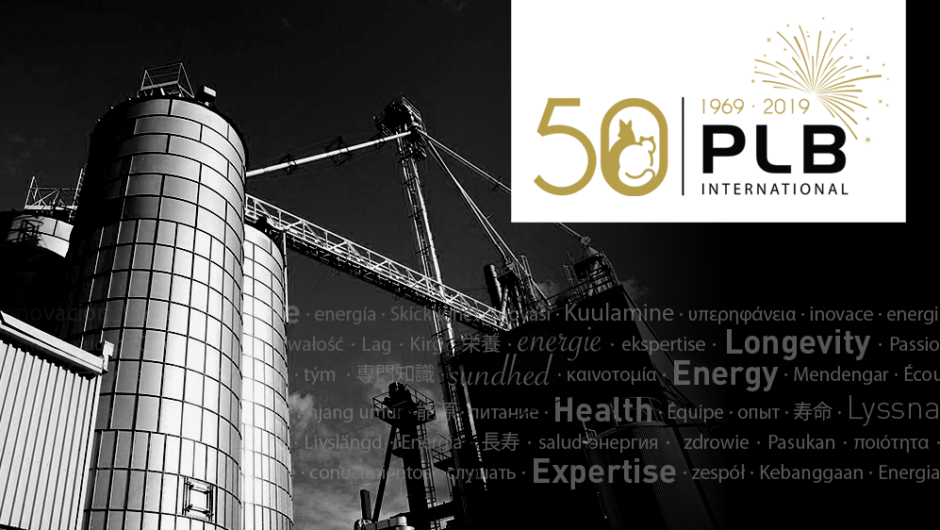 PLB single blog image