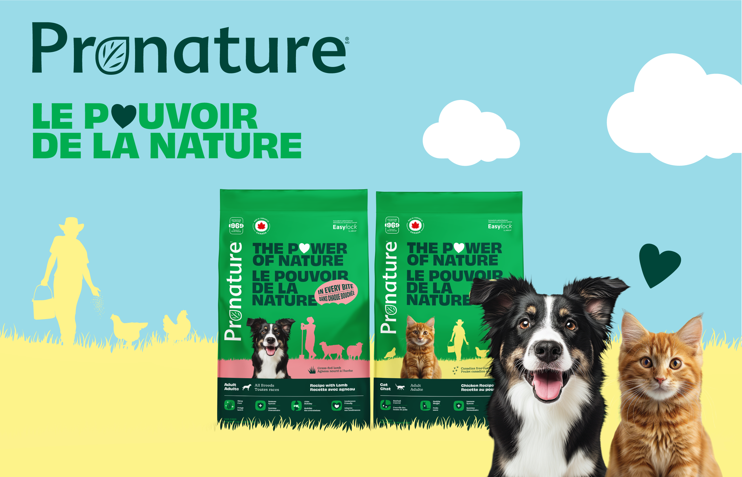 PLB blog image thumbnail