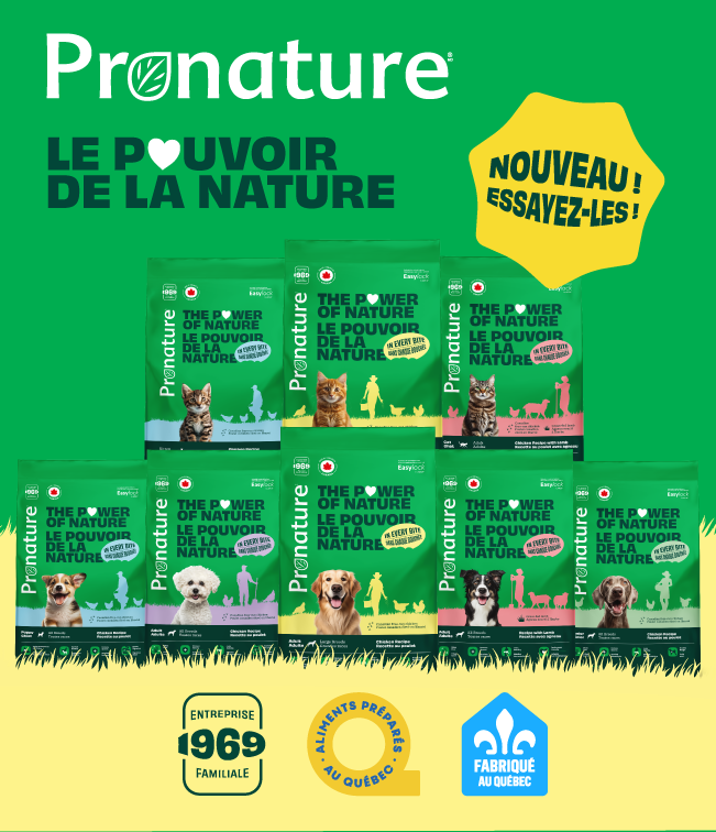 PLB single blog image